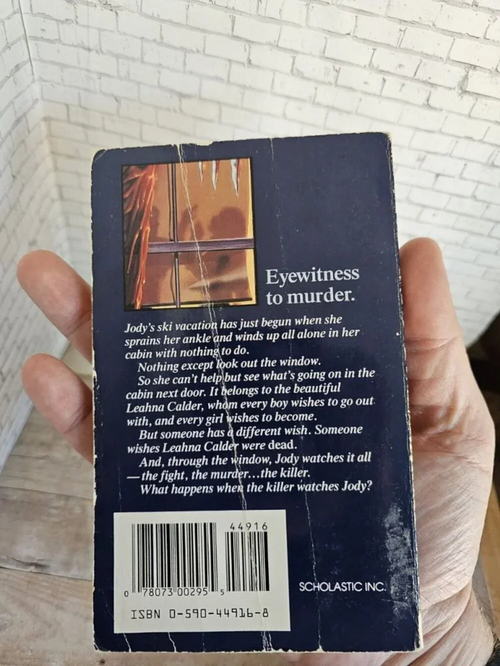 Carol Ellis The Window 1992 Point Horror Scholastic Vintage YA Paperback